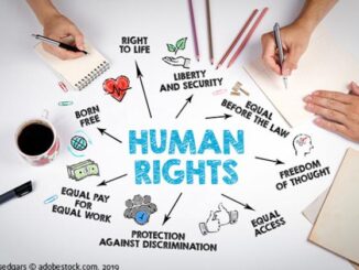 Protecting Human Rights and Freedom: How Everyday People Champion Equality